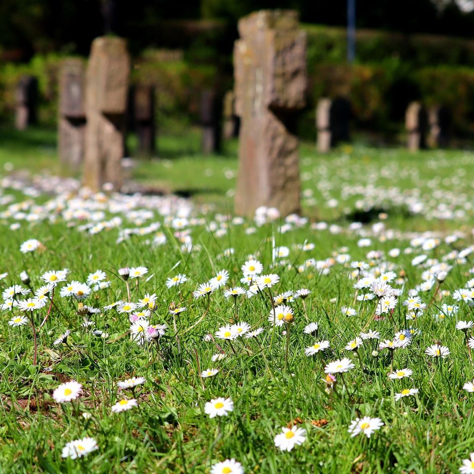 Military cemetery g5e1d6fc48 1920