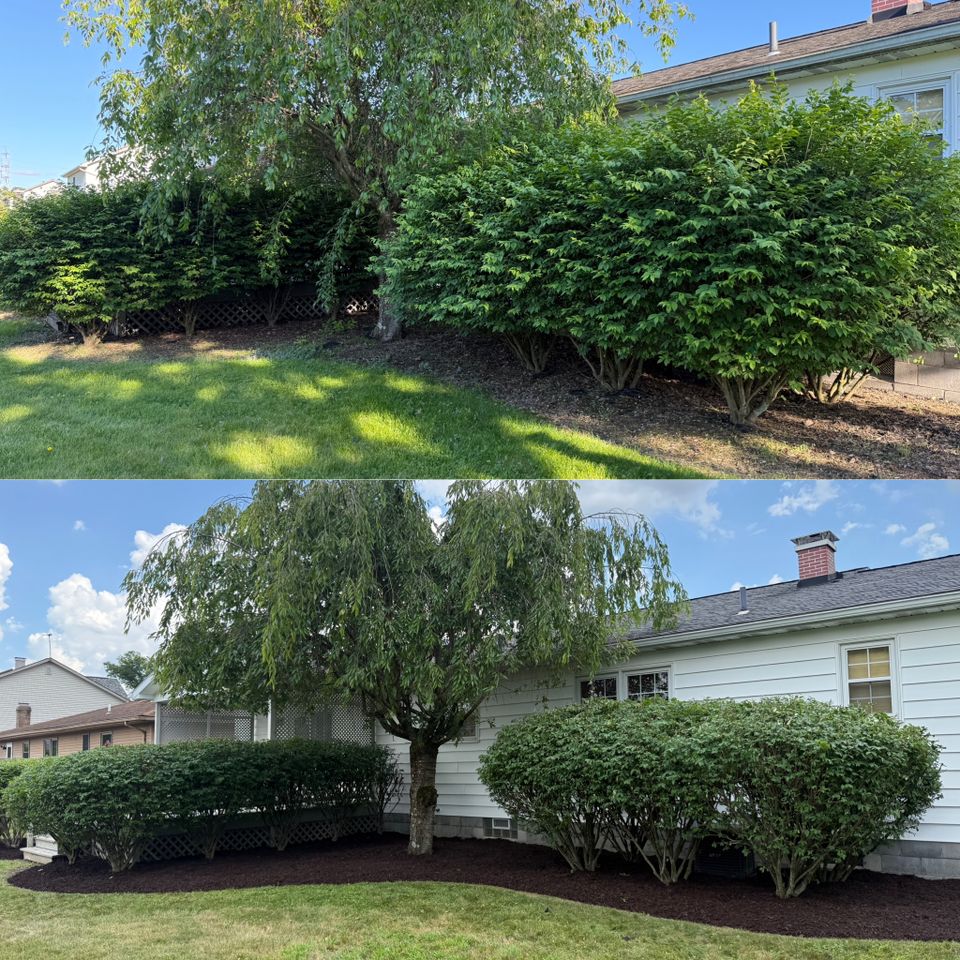 81ad526e 97b5 48cb bef1 2b0bec5a3dc7