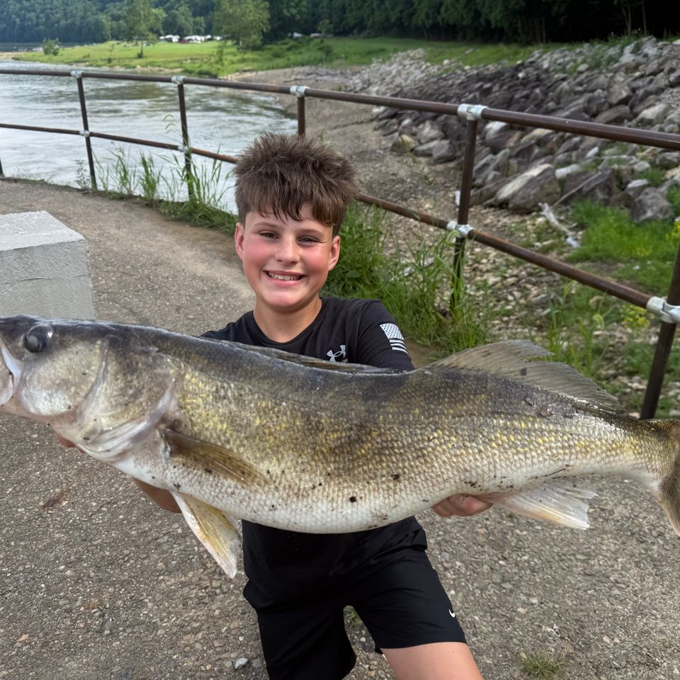 13-year-old, Luke Corace of Worthington caught this Walleye measuring 29 7/8" on the Allegheny River. 