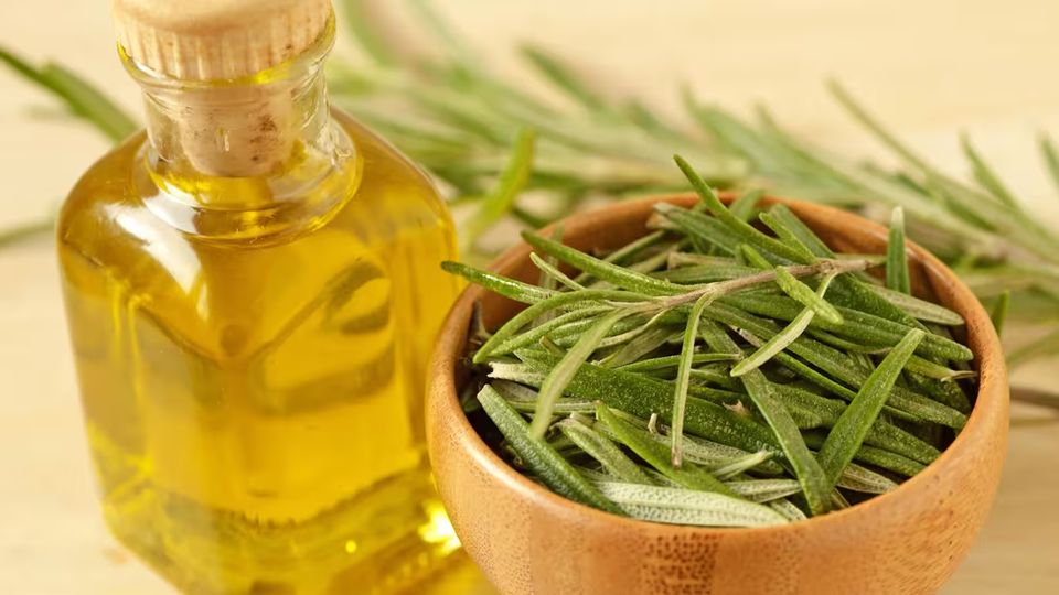 Rosemary oil and herb 1281818482