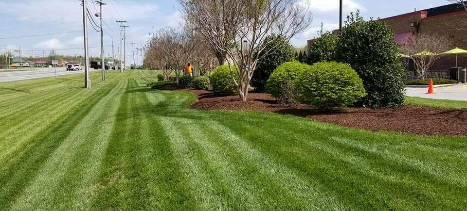 Landscaping Service North Carolina, Commercial Landscaping, Residential Landscaping, 