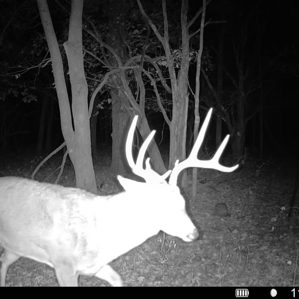 016579002875396 100 3 11112025032316 syfw01050