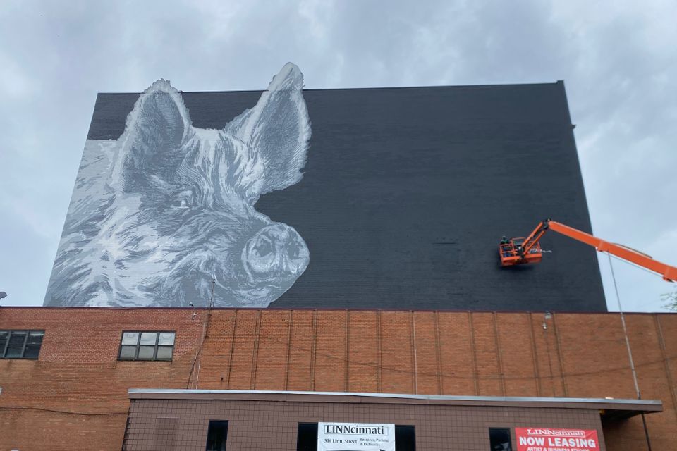 Horan signing ginger photo 2