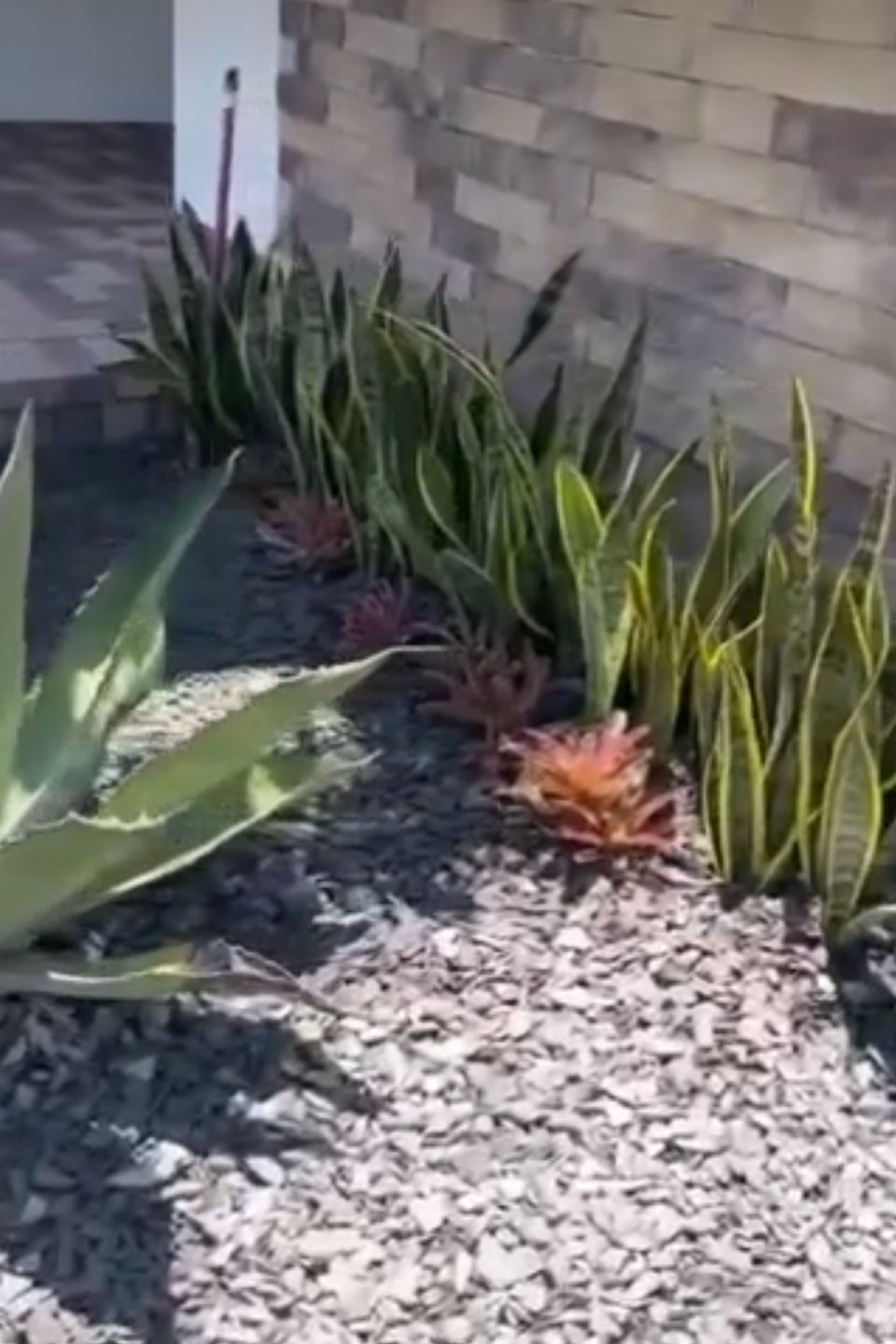 Patio pavers (2)