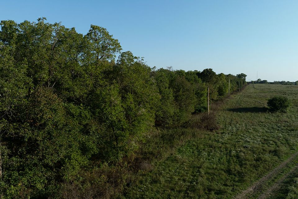 38 acres wentworth missouri 11