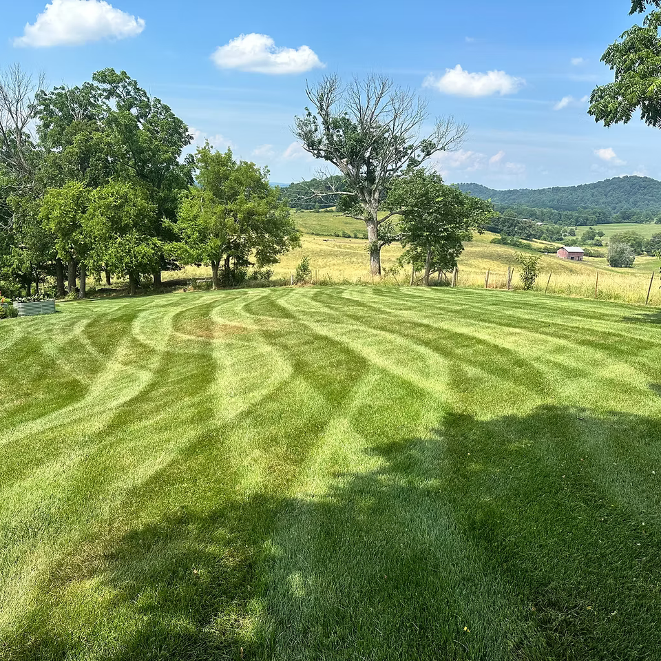 Mowing landscaping johnson city45