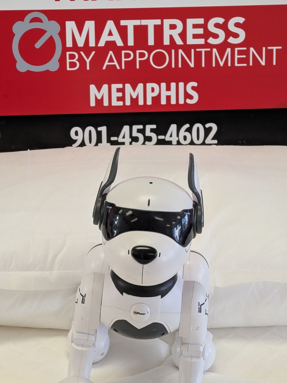 Pxl 20260107 195902058