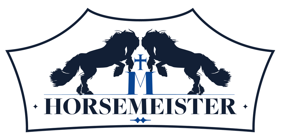 Horsemeister crown outline v2 transparent (1)