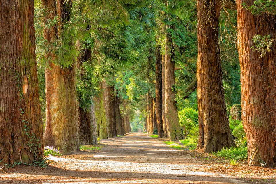 Avenue gb0b62681d 1920