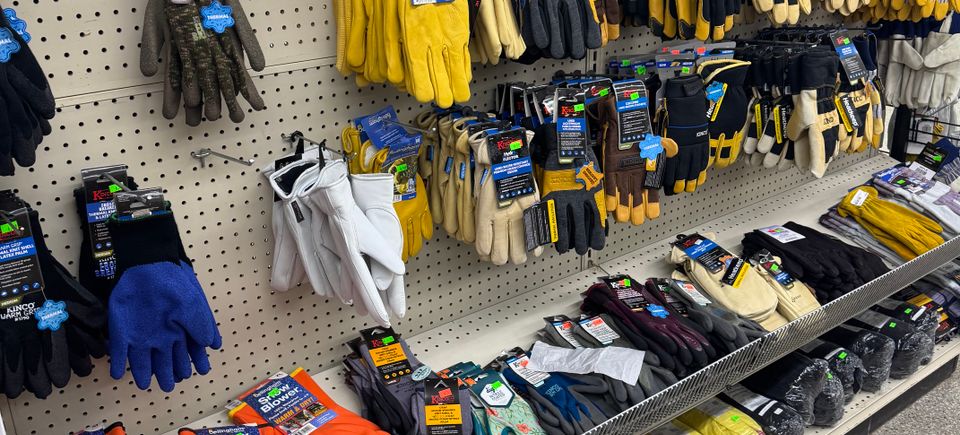 (upload from mobile 1766153006)img 2844