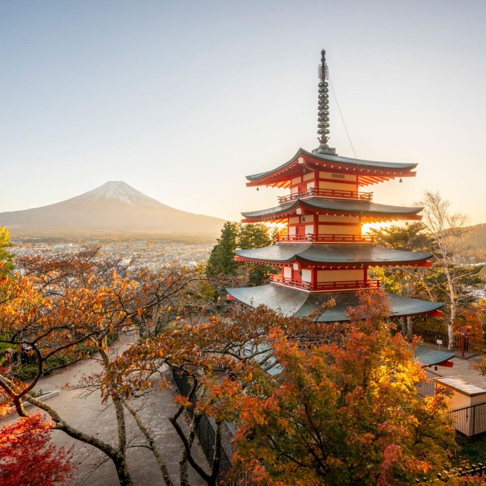 Japan autumn tour