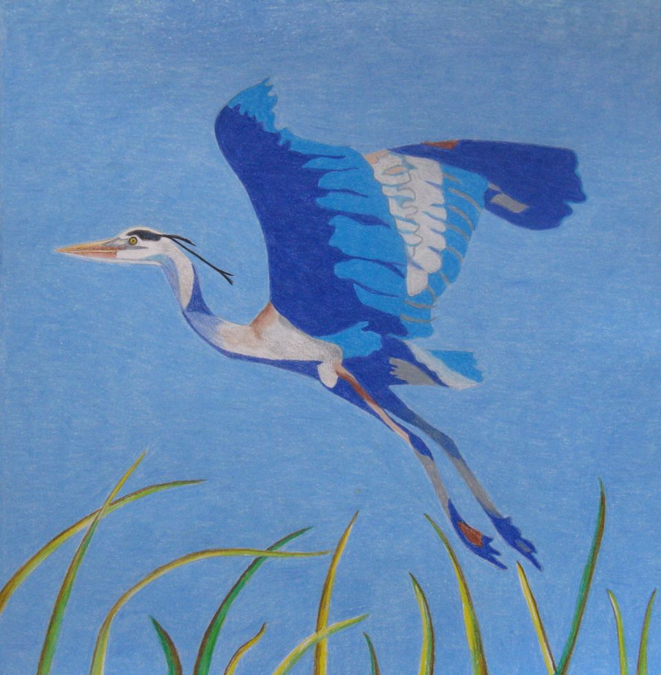 4. heron drawing