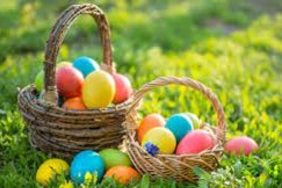 Iron work farm egg hunt