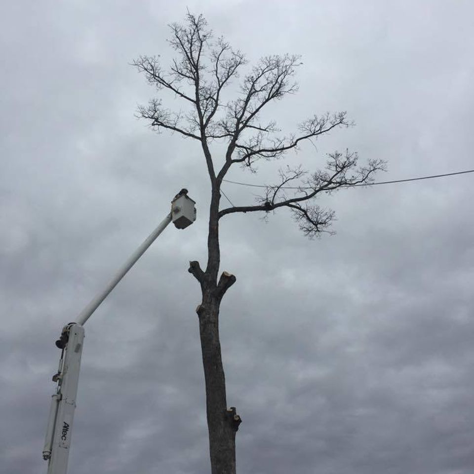 Bucket truck 2