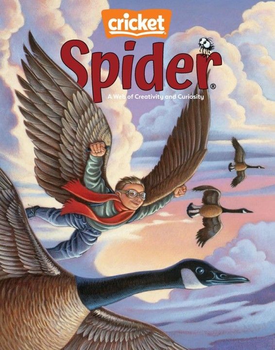 01 01 gold tier magazine   cricket spider