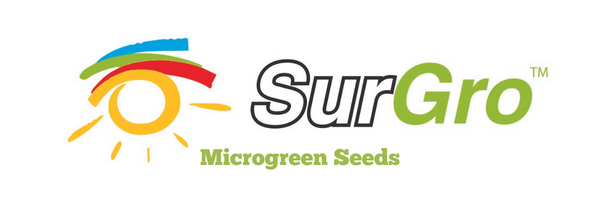 Microgreen seeds