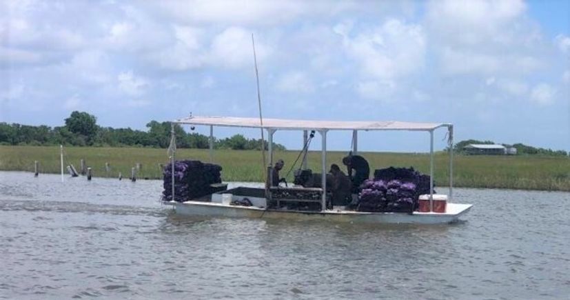 Boats (2)a