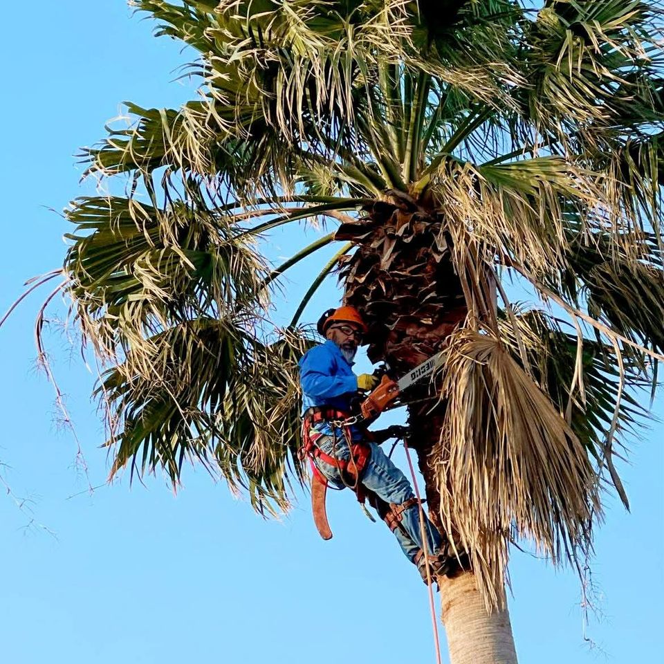 E8f11c7c 70a3 4a75 91f6 ee9155474e46