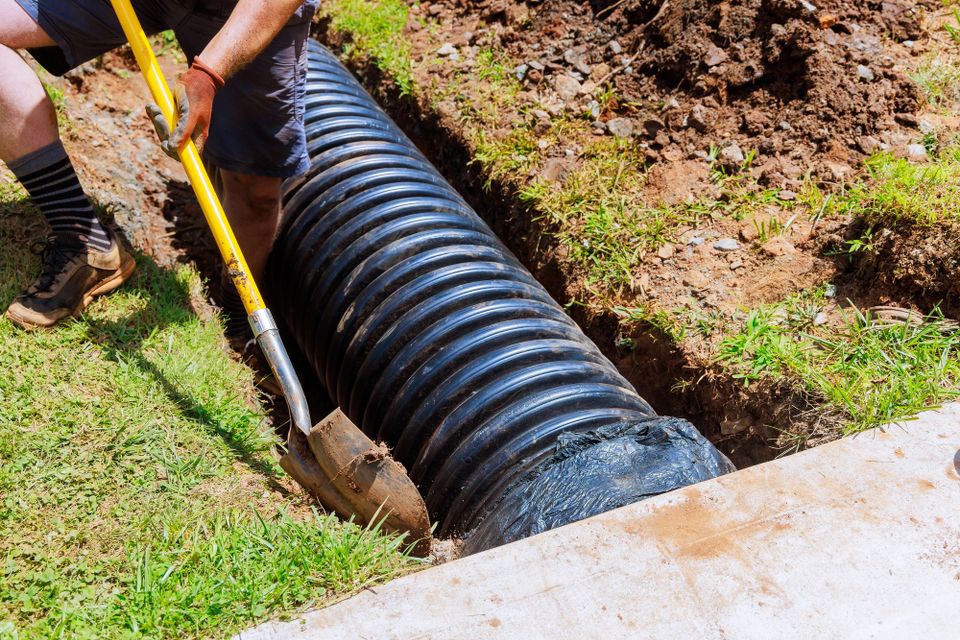 Septic trank drainfield