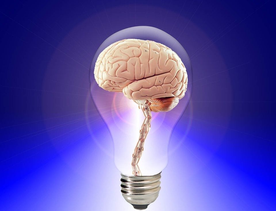 Brain gc33aaae59 1920