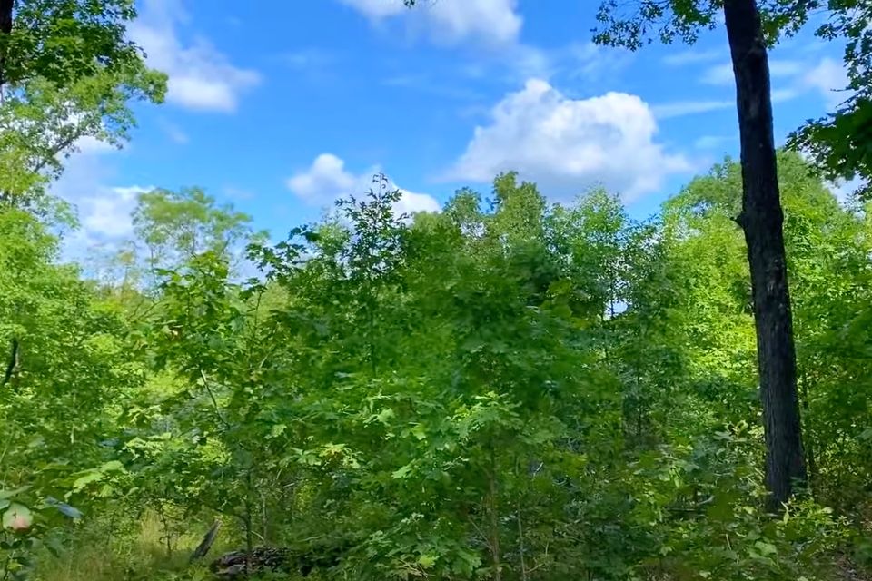 Site before cleanup