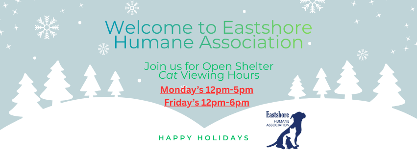 Open shelter hours (2)