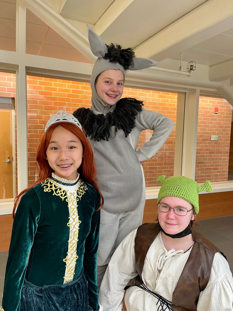 Shrek  donkey and fiona