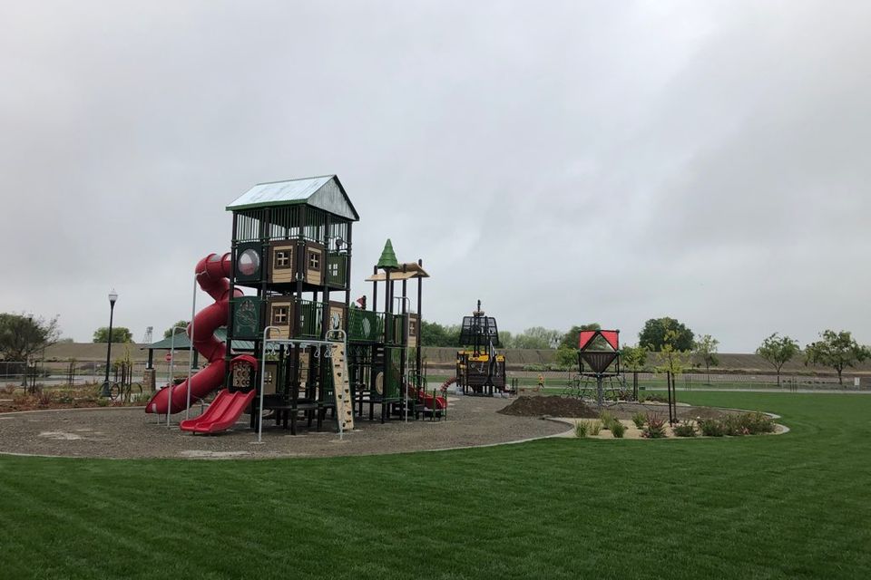 Img 1966