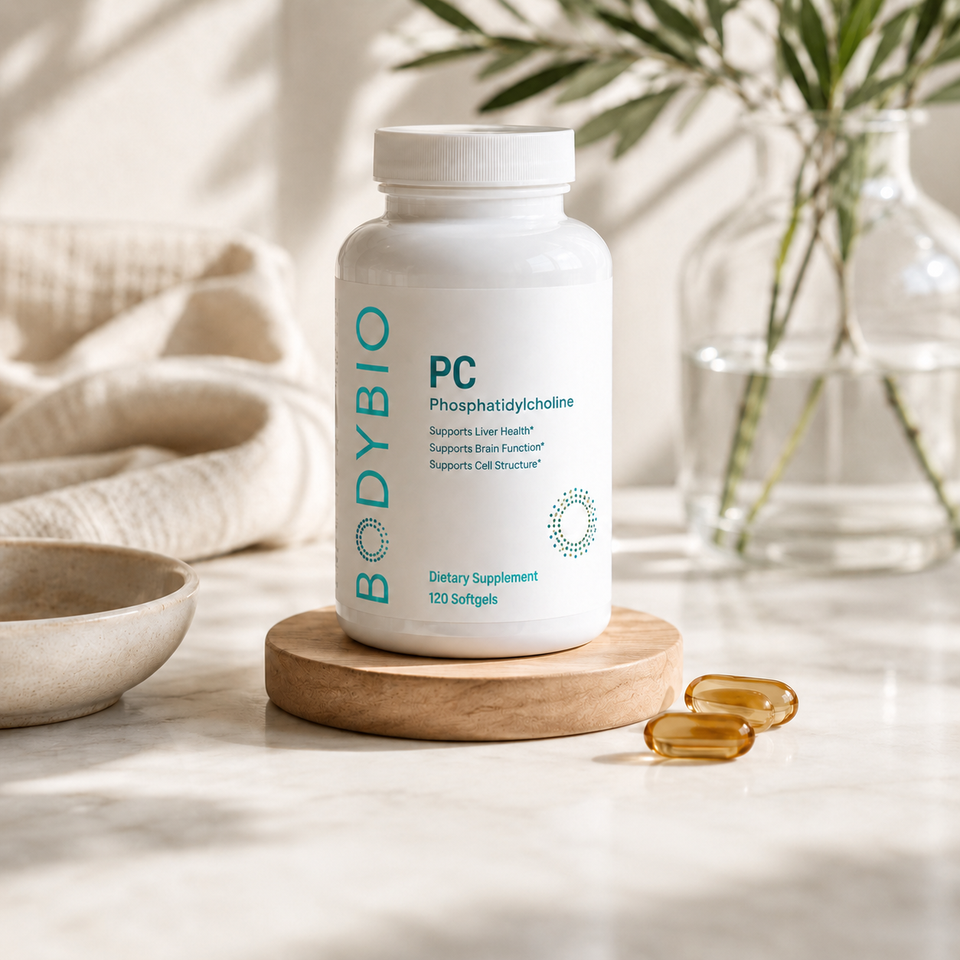 Chatgpt image aug 17, 2026, 12 11 50 pm
