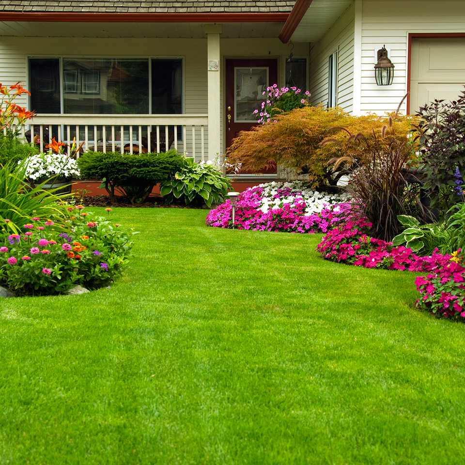 Landscaping lawn care