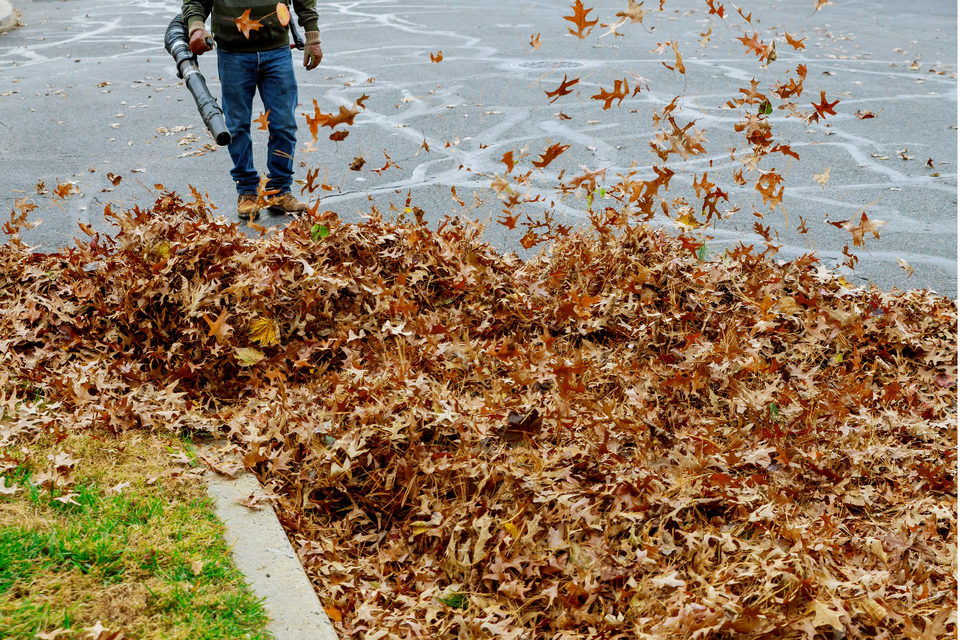 Yard worker