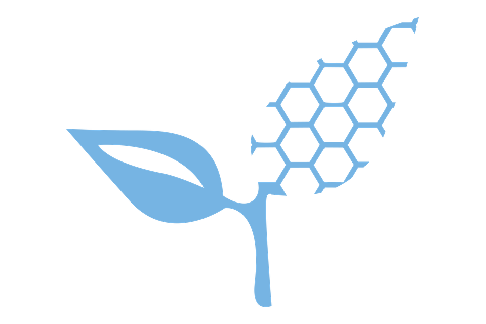 Northern logo icon 1
