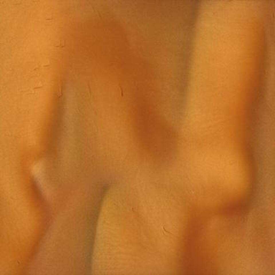 Torginol p1130 lager 960x960