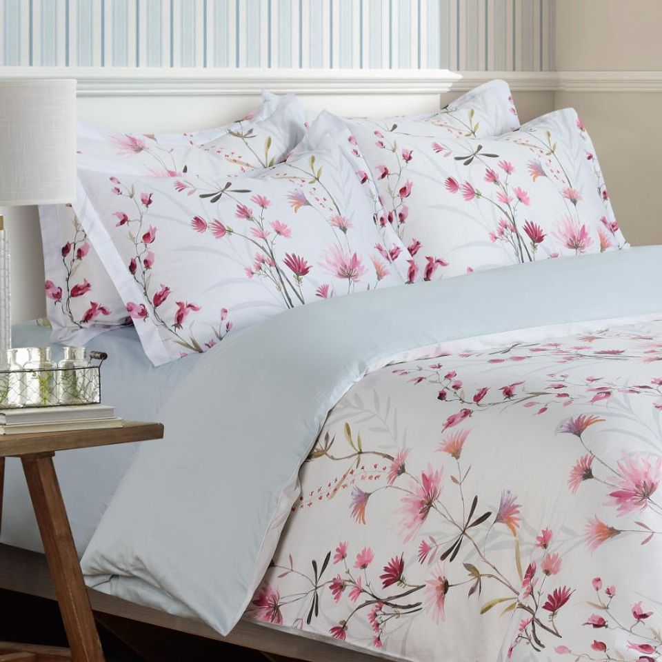 Bl509 (3) second choice