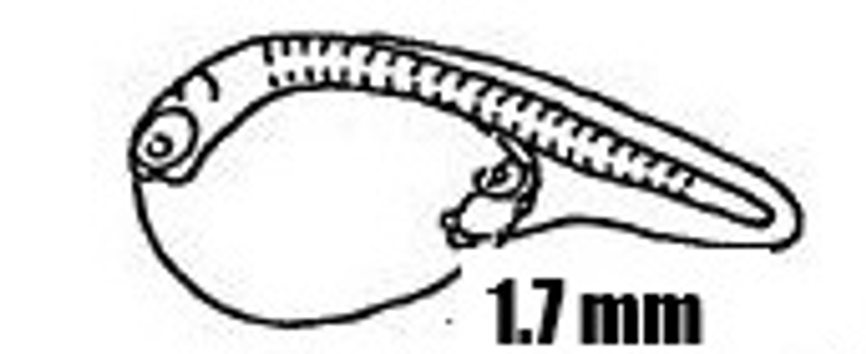 Screenshot 2025 10 15 141027