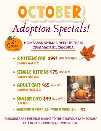 October adoption specials
