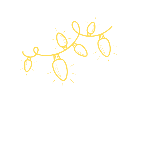 Pro Christmas Lights