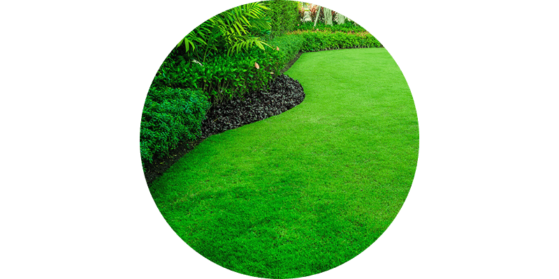 Lawns