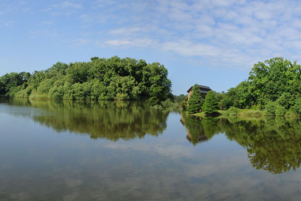 Lake alice  pano