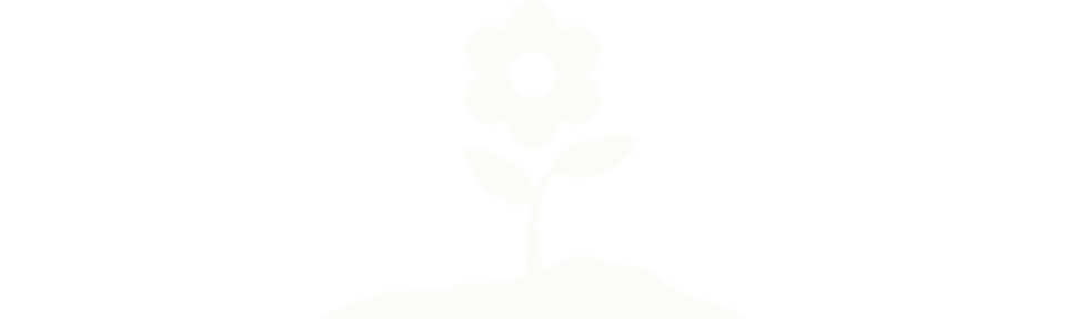 North   bloom   website (14)