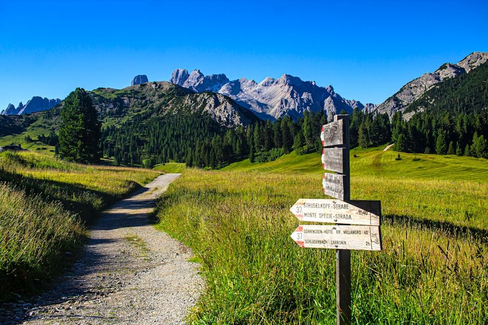 Photo 1687338218396 41ee740d0168