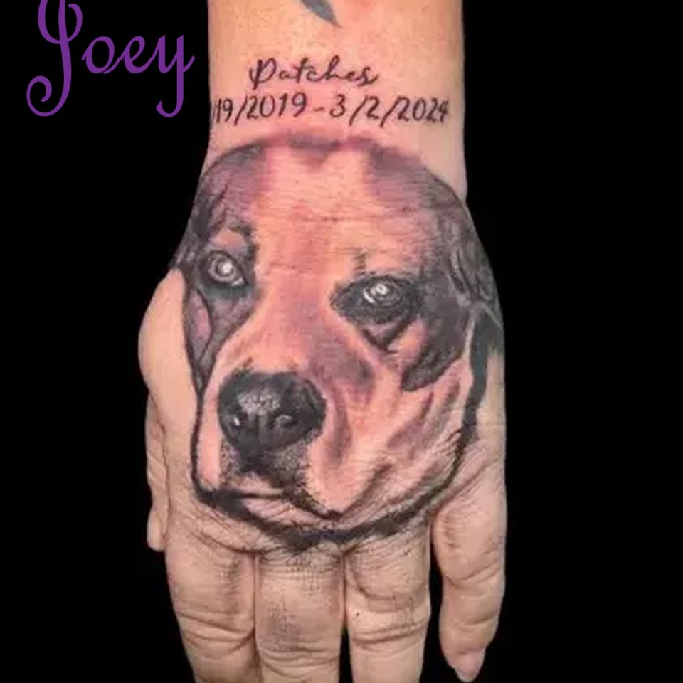 Joey dog portrait