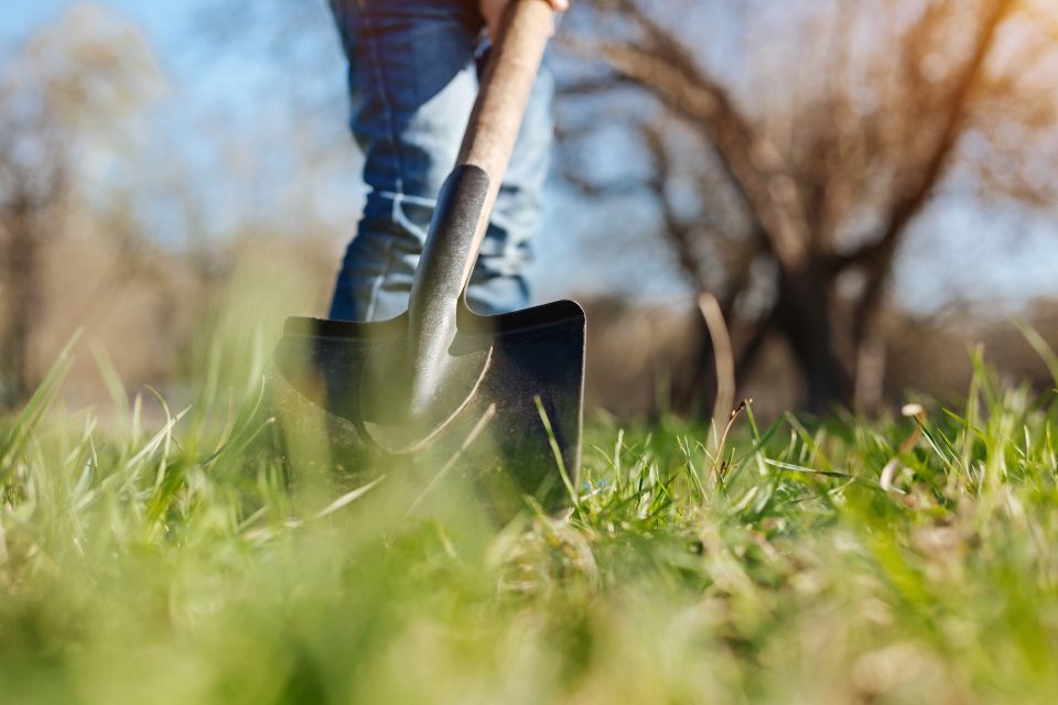 Little boy wearing jeans helping his family by digging with spade backyard