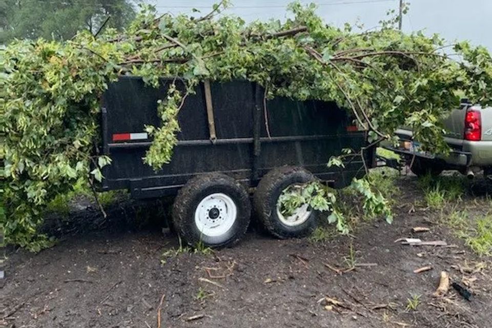 299769933 3236392286680376 8812512609873266092 n original