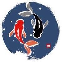Koilogo