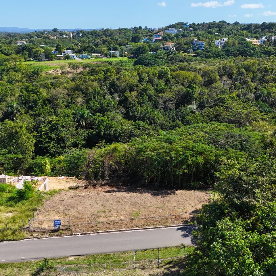 Dji 20251208105408 0061 d