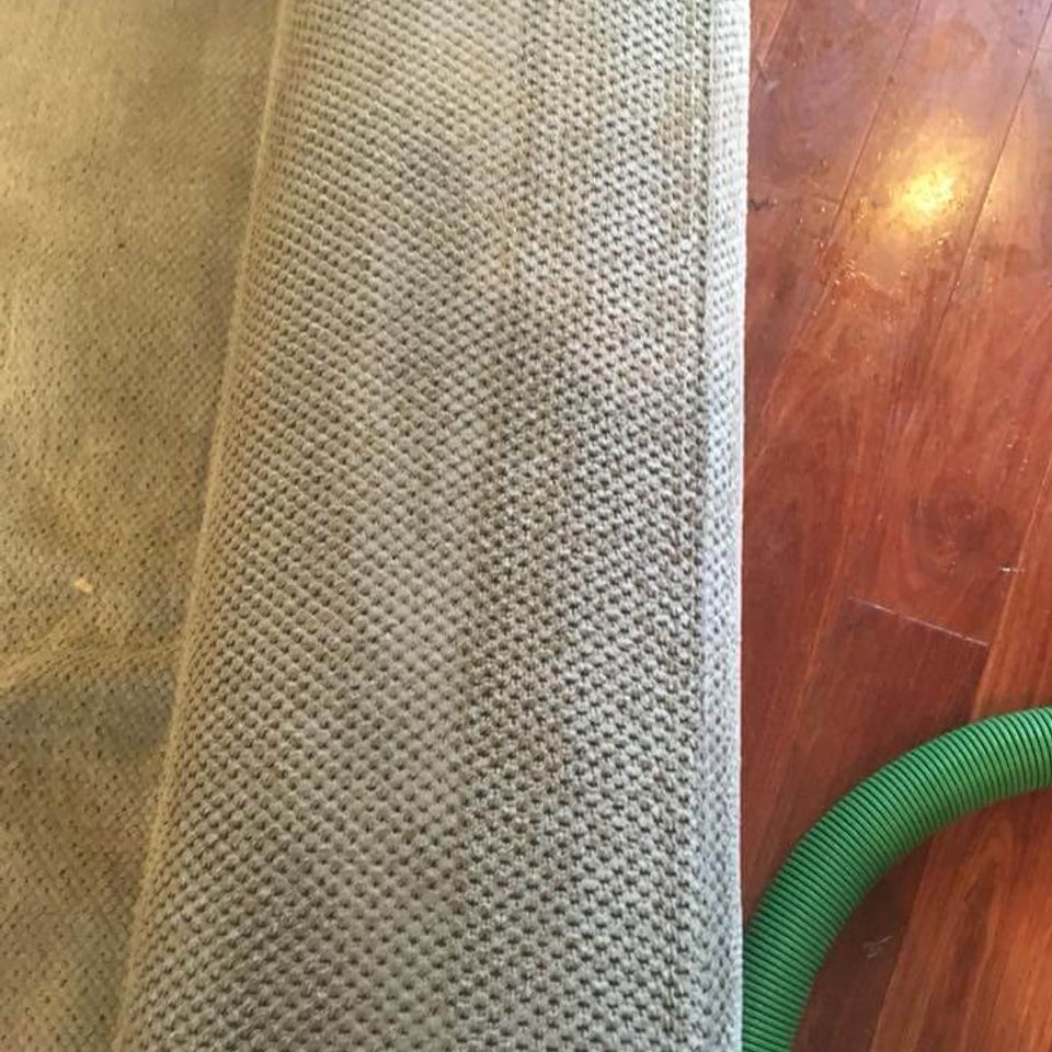 Cc clean 6