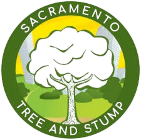 Sac Tree and Stump