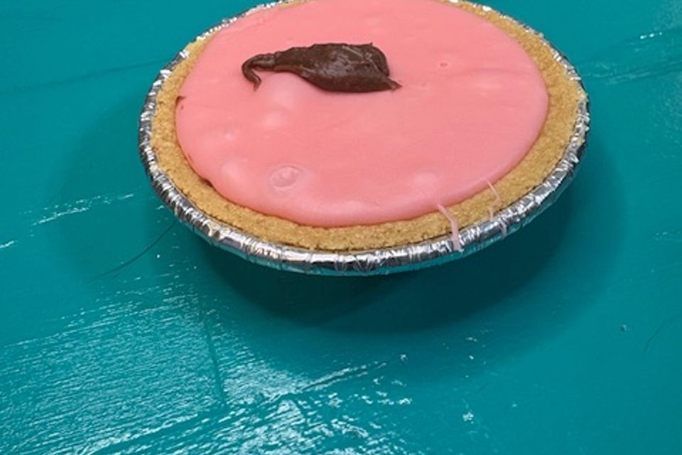 Ccpie2