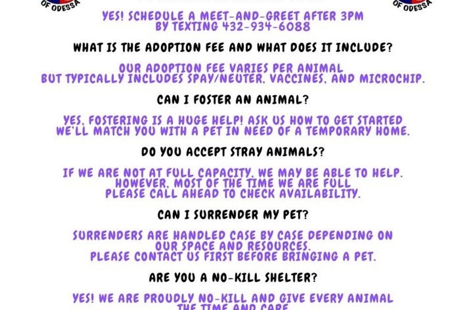 Faq1